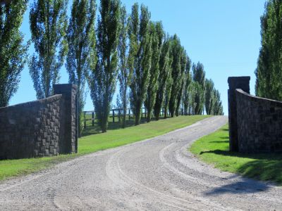 Preserve Property Value with Gravel Driveway Repair!