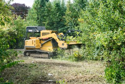 Site Clearing Service in Katy, TX